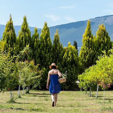 Penelope Vila Sami (Kefalonia)